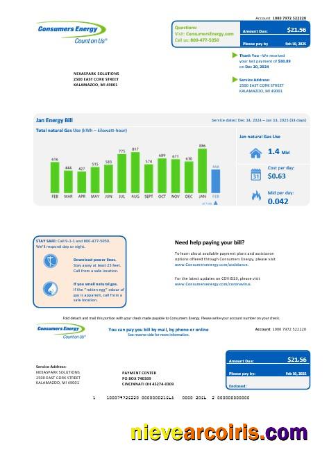 USA Michigan Consumers Energy business utility bill